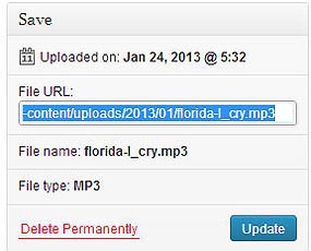 Add a MP3 Audio File
