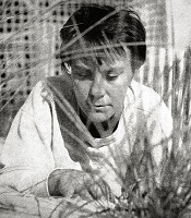 Harper Lee